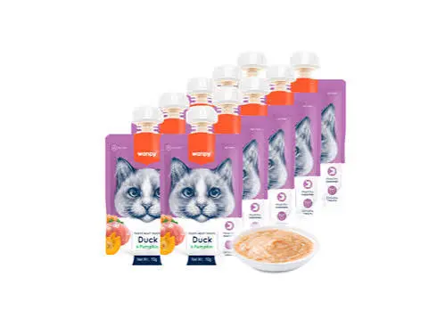 Wanpy Tasty Meatpaste Duck with Pumpkin Cat Treat, 90g image 3
