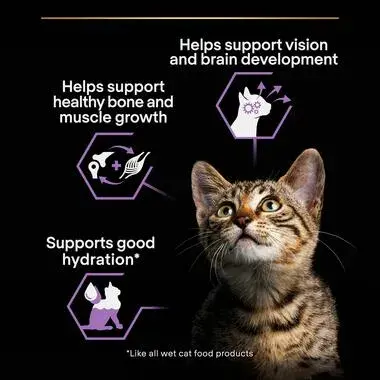 Purina Pro Plan Wet Food with Turkey in Sauce for Kittens 10 x 85 g image 4