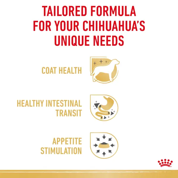 Royal Canin Wet Dog Food for Adult Chihuahuas (8+ Months) image 2