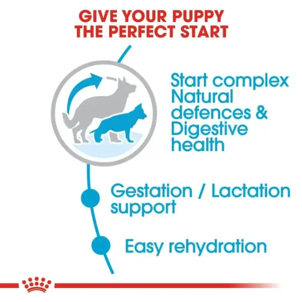 Royal Canin Starter Dry Food for Maxi Breed Mother &amp; Baby Dogs (Up to 2 Months &amp; 26-44kg) 15 kg image 2