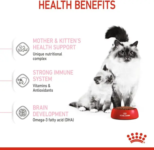 Royal Canin Dry Food for Mother &amp; Baby Cats (1-4 Months) 10 kg image 2