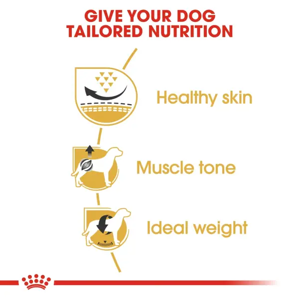 Royal Canin Pug Adult Dry Dog Food 1.5KG image 1