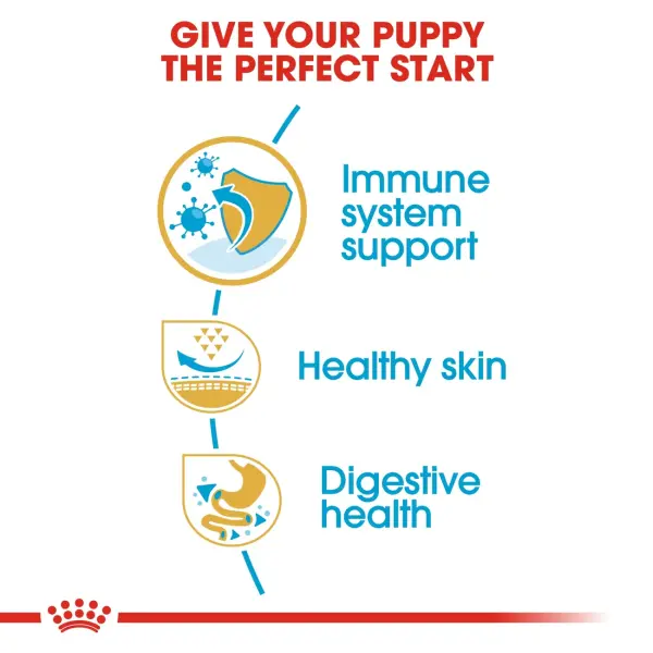 Royal Canin Pug Puppy Dry Food 1.5KG image 1