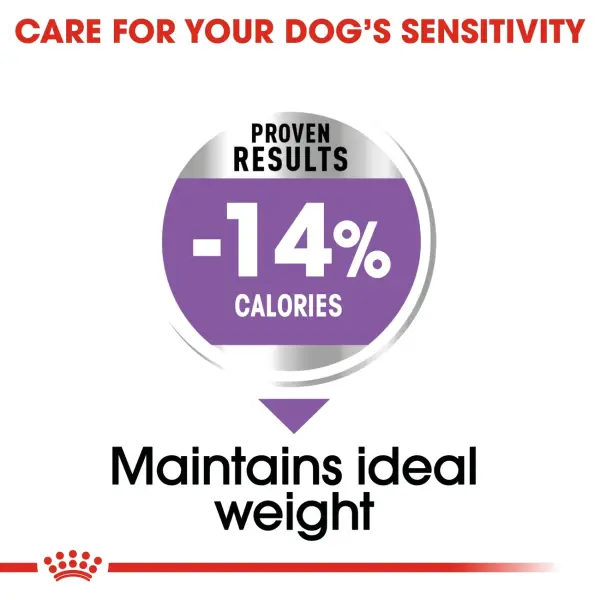 Royal Canin Mini Sterilized For Dogs 3 Kg image 2
