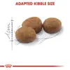 Royal Canin Sterilised 37 Adult Dry Cat Food 2KG image 3