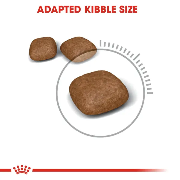 Royal Canin Urinary Care Adult Dry Cat Food 2KG image 1