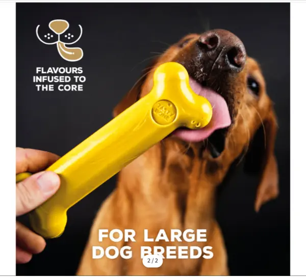 TastyBone Nylon Large Dog - Chicken image 1