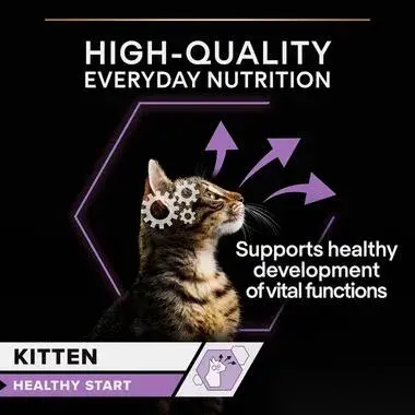 Purina Pro Plan Wet Food with Turkey in Sauce for Kittens 10 x 85 g image 5