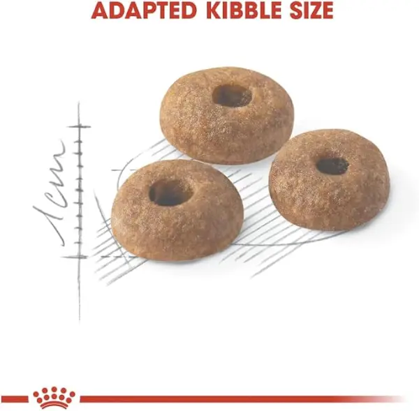 Royal Canin Regular Fit 32 Adult Dry Cat Food 10KG image 1
