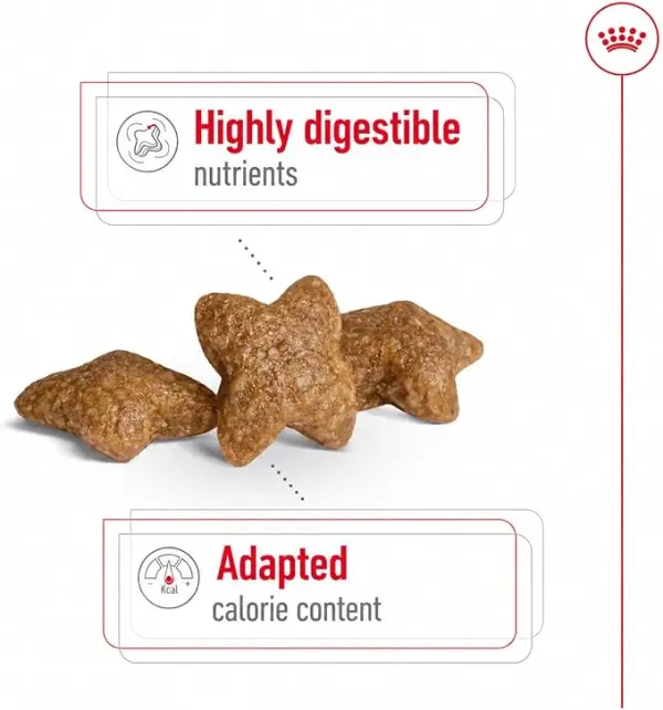 Royal Canin Mini Adult Dry Dog Food 8KG image 2