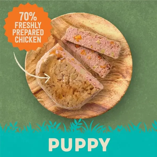 Harringtons Chicken &amp; Potato Puppy Wet Food 380g image 1