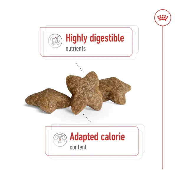 Royal Canin Mini Adult Dry Dog Food 2KG image 2