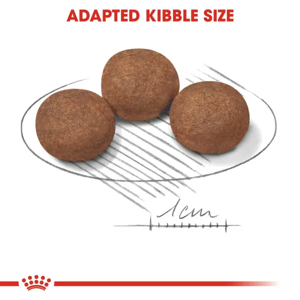 Royal Canin Medium Puppy Dry Food 4KG image 2