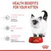 Royal Canin Kitten Dry Food 2KG image 8