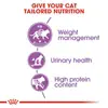 Royal Canin Sterilised 37 Adult Dry Cat Food 2KG image 4