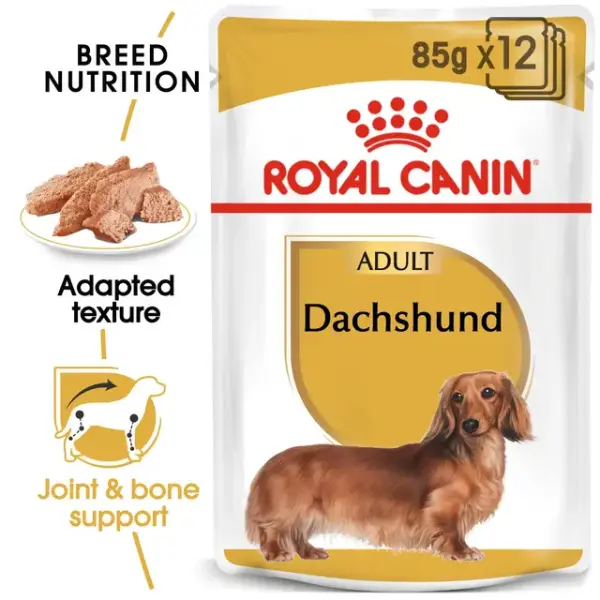 Royal Canin Wet Dog Food for Adult Dachshunds (10+ Months)  85 gr image 0