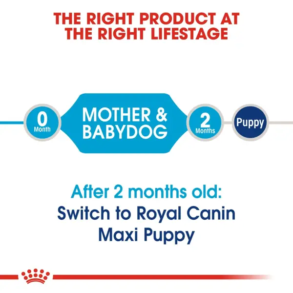 ROYAL CANIN MAXI STARTER M&B - 4KG image 2