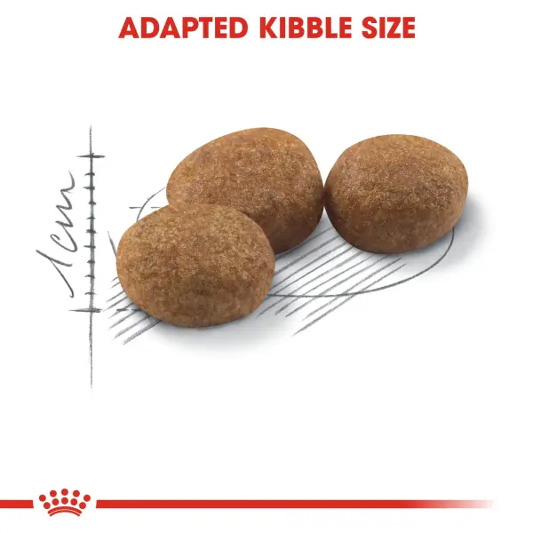 Royal Canin Regular Dry Food for Sterilized Adult Cats 10 kg image 1