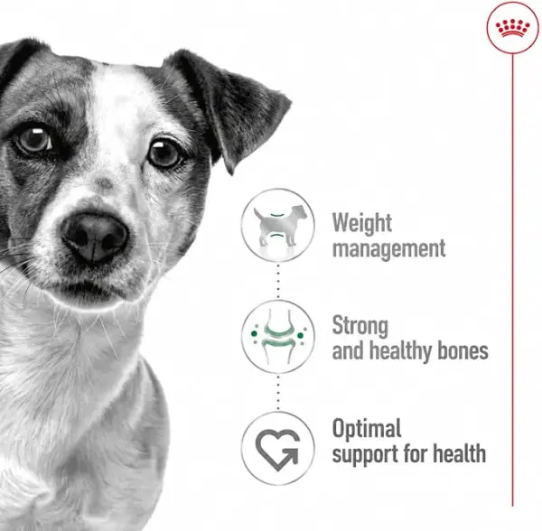 Royal Canin Mini Adult Dry Dog Food 8KG image 3