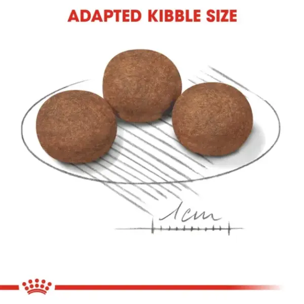 Royal Canin Medium Puppy Dry Food 10KG image 1