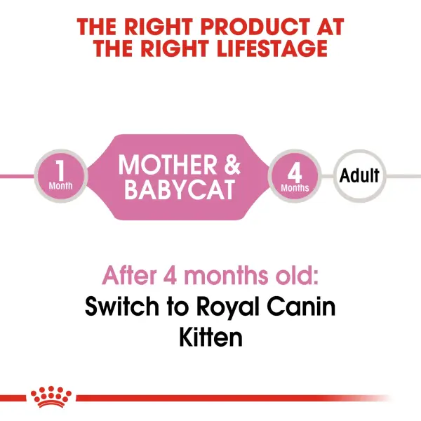Royal Canin Mother &amp; Babycat Adult Wet Cat Food 195g image 3