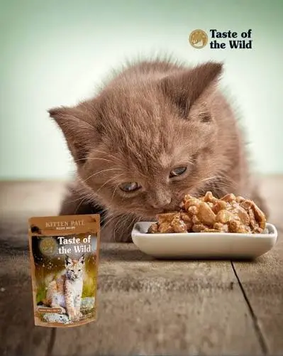Taste of the Wild Cat Pate with Chicken for Kittens - grain free 85 gr image 1