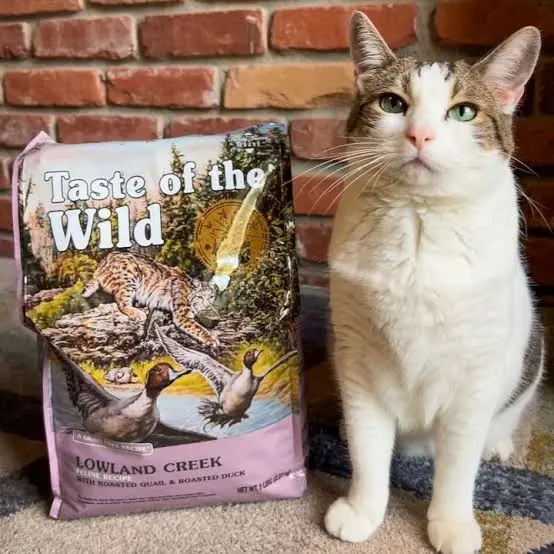 Taste of the Wild Lowland Creek Dry Cat Food with Roasted Quail &amp; Duck 85 gr image 2