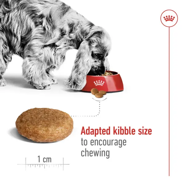 Royal Canin Medium Adult Dry Dog Food 4KG image 3