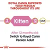 Royal Canin Persian Kitten Dry Food 400gm image 3