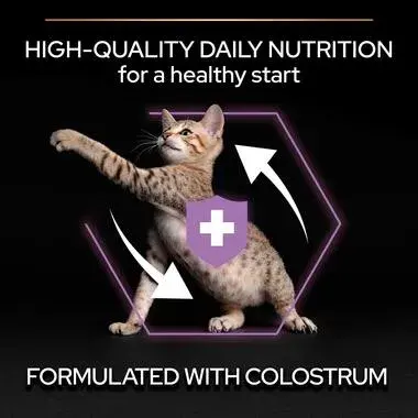 Purina Pro Plan Opti Start Original Dry Food with Chicken for Kittens (1-12 Months) 3 kg image 3