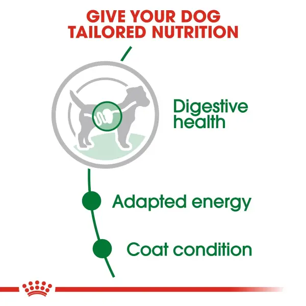 Royal Canin Mini Adult Wet Dog Food 85g image 1