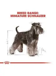 Royal Canin Mini Schnauzer Adult Dry Dog Food 3KG image 3