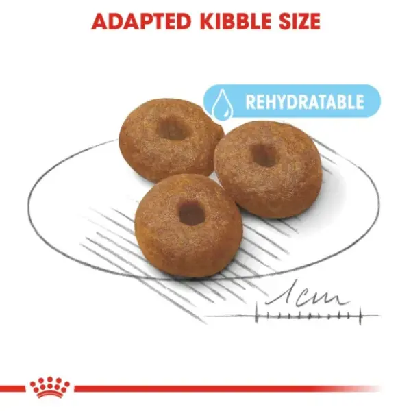 Royal Canin Starter Dry Food for Maxi Breed Mother &amp; Baby Dogs (Up to 2 Months &amp; 26-44kg) 15 kg image 1