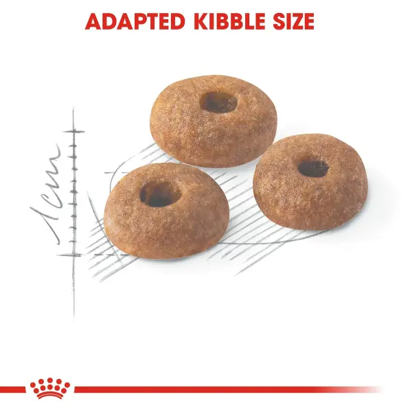 Royal Canin Regular Fit 32 Adult Dry Cat Food 4KG image 1