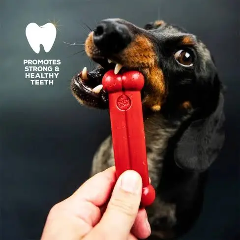 Tastybone Red Chew Toy Beef Flavor for Toy Breed Dogs image 1