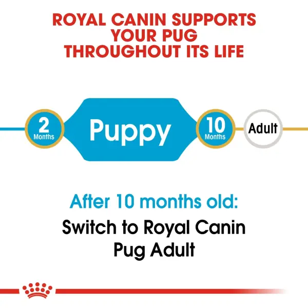Royal Canin Pug Puppy Dry Food 1.5KG image 2