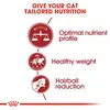 Royal Canin Regular Fit 32 Adult Dry Cat Food 2KG image 1