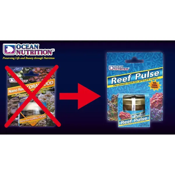 REEF PULSE 10G image 1