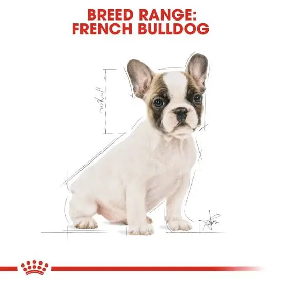 Royal Canin Puppy French Bulldog Dry Dog Food 3KG image 2