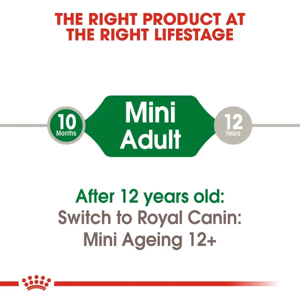 Royal Canin Mini Adult Wet Dog Food 85g image 2