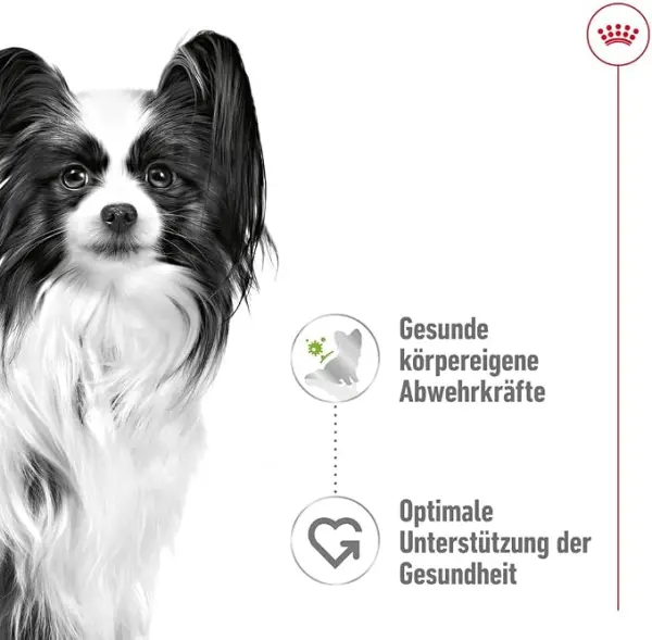 ROYAL CANIN X-SMALL Adult Wet Food in Sauce 85gr image 3