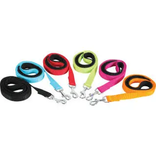 ZOLUX  leashes NYLON LEAD XL 60CM 40MM TURQUO image 1